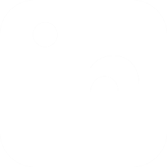 linkedIn icon